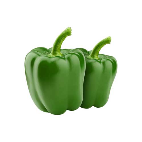 PIMIENTO-MORRON-VERDE-KG